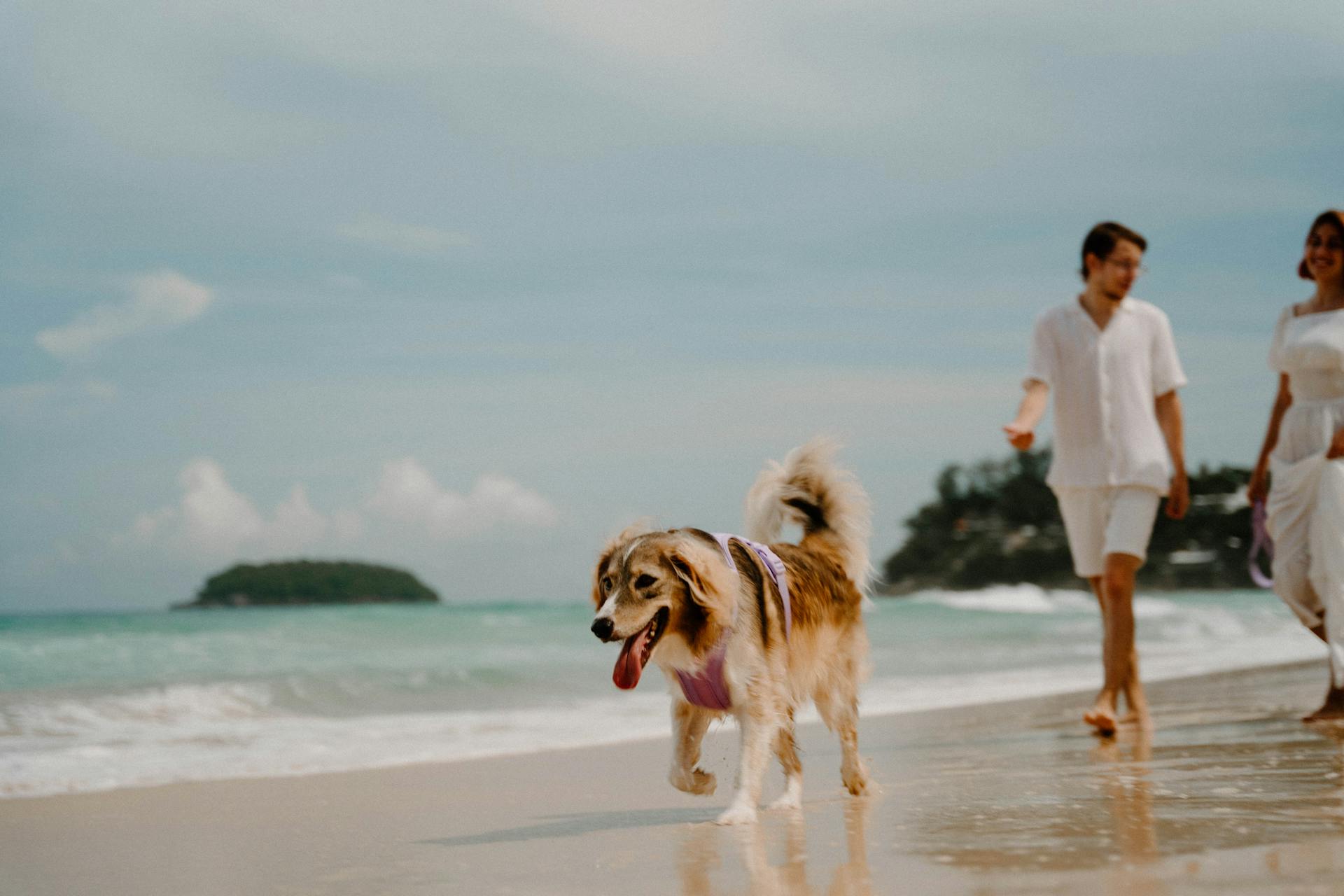Capture Thailand’s iconic island beauty